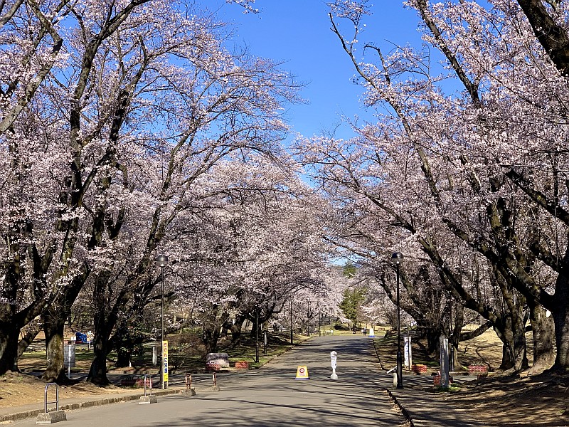 Inariyama Park